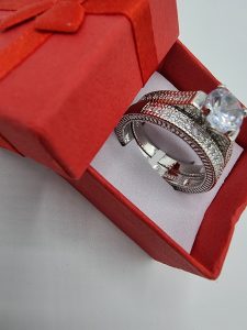 Elegant Silver-Plated Double Band Ring Set with Sparkling Center Stone – Sizes 21, 22